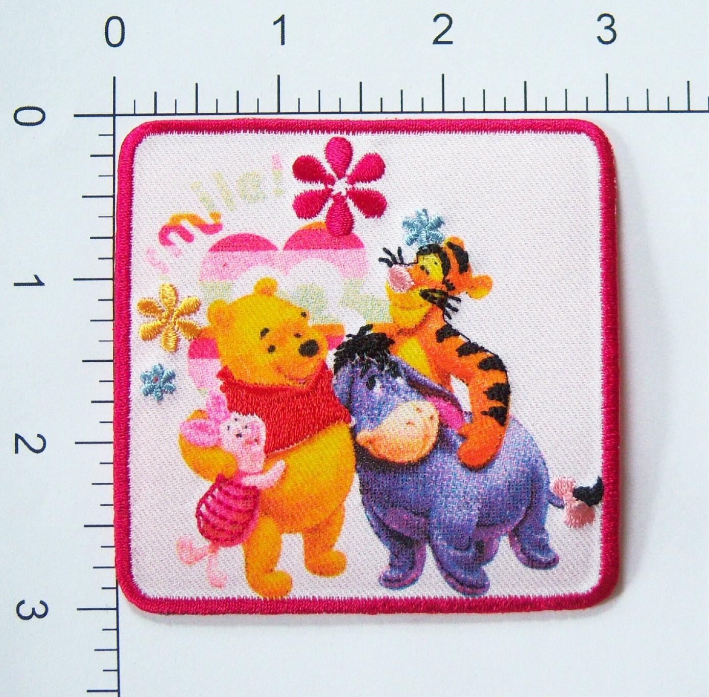 Pooh Friends Applique