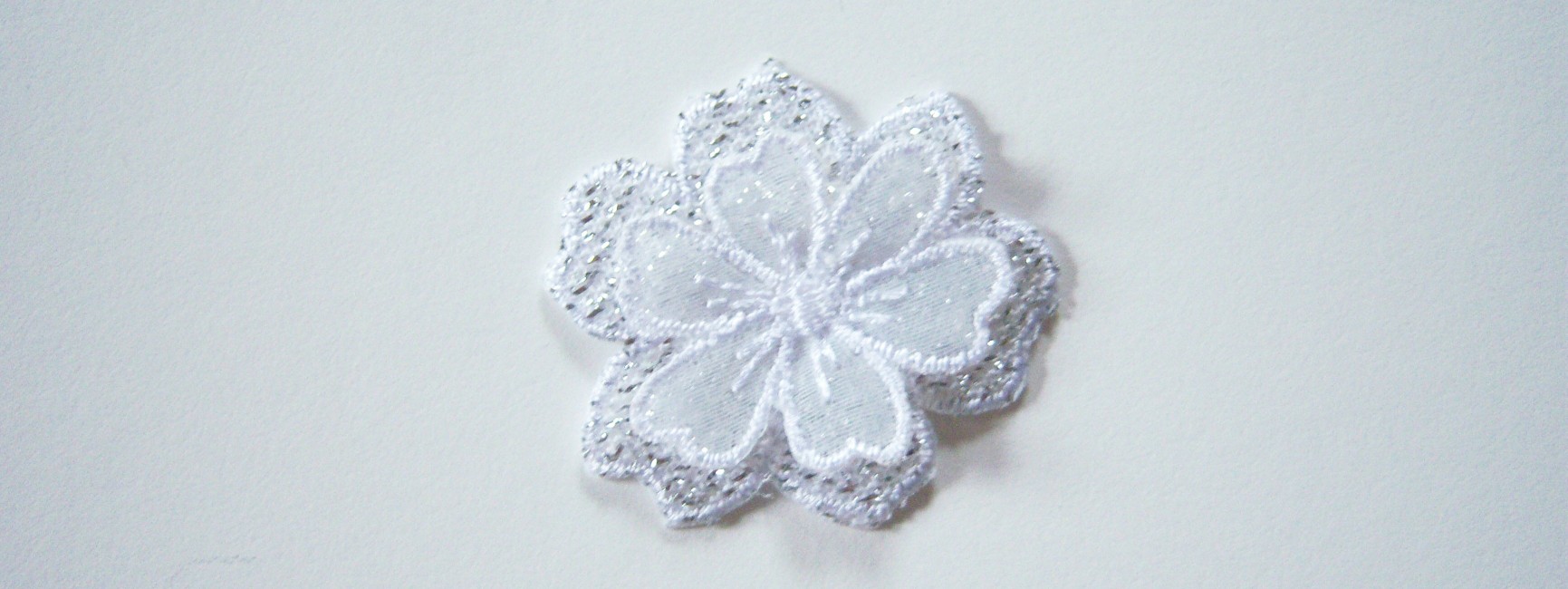 Silver/Raised White Iron On Applique