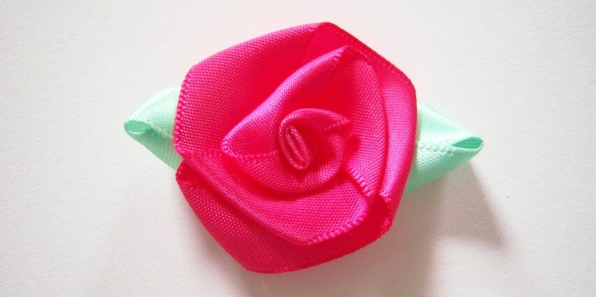 Shocking Rose/Mint Loop