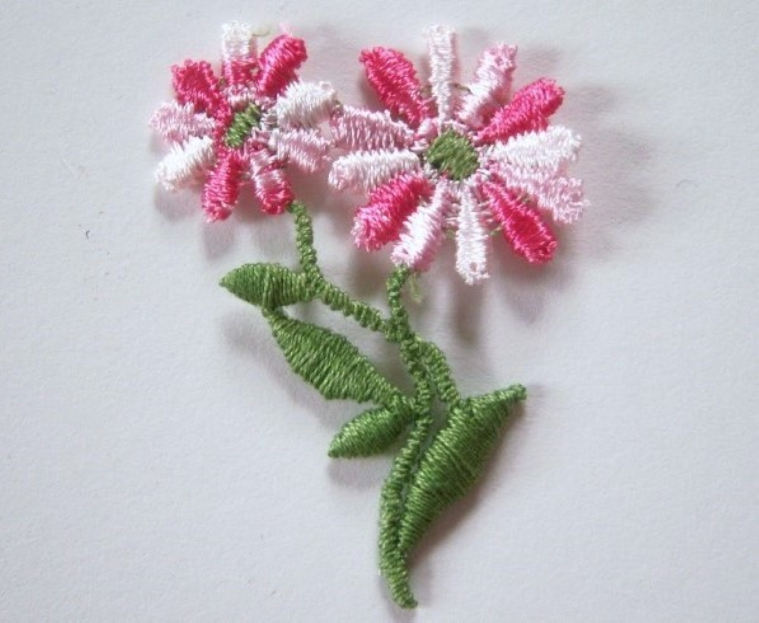 Pink/Green Variegated Applique