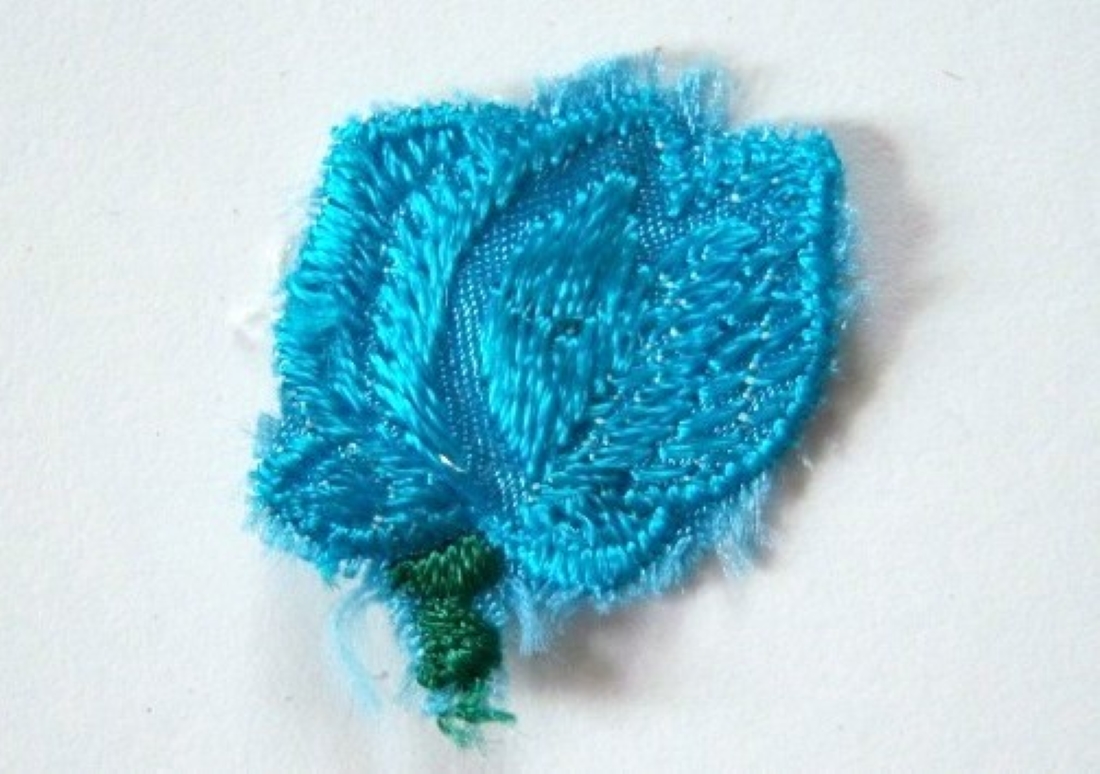 Turquoise Organza Applique