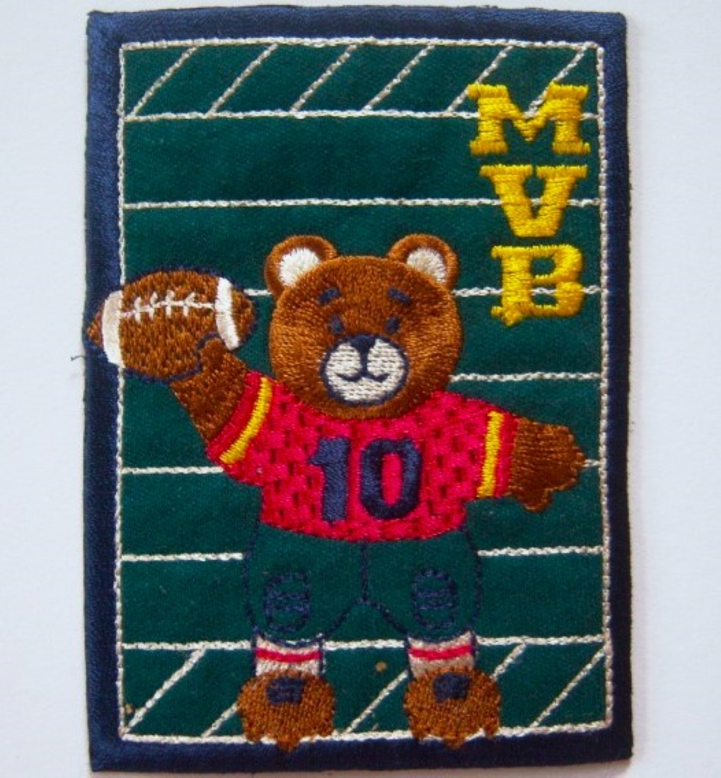 Most Valuable Bear Iron On Applique