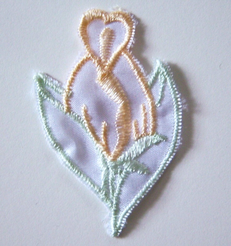 Satin/Mint/Maize Corn Applique