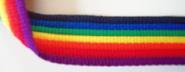 Rainbow 7/8" Webbing