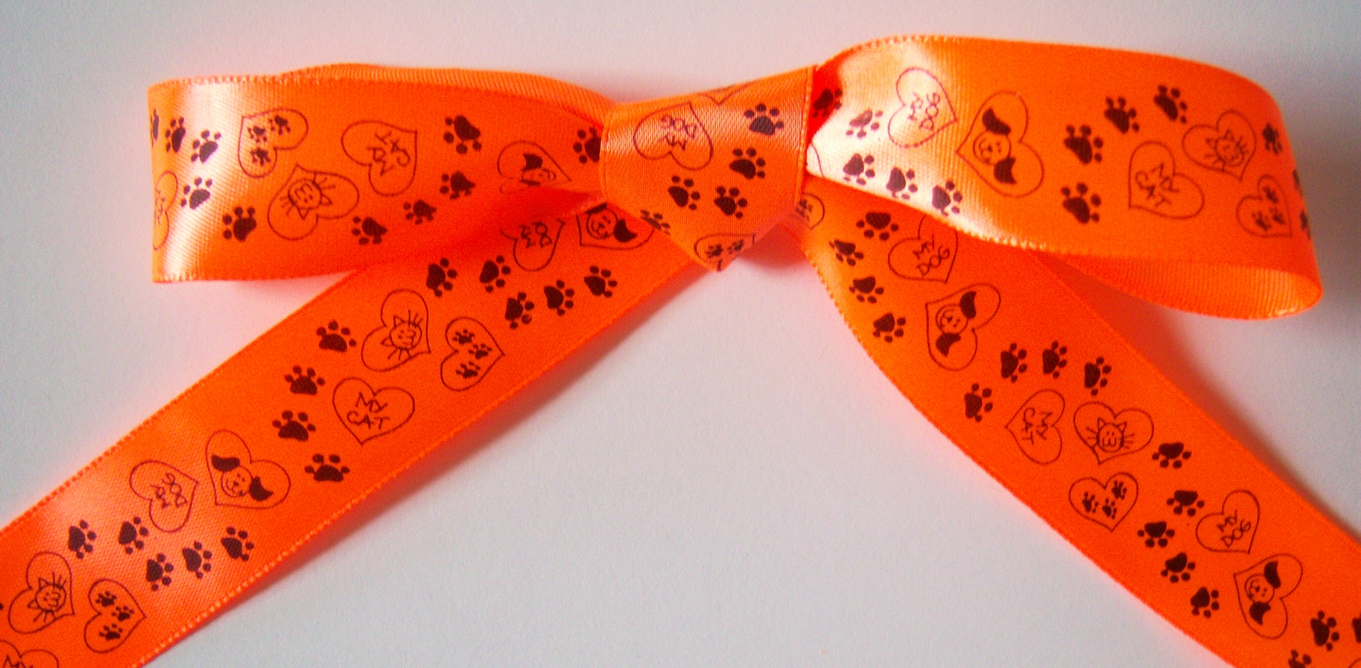 Neon Orange/Black Cat/Dog 1" Satin Ribbon